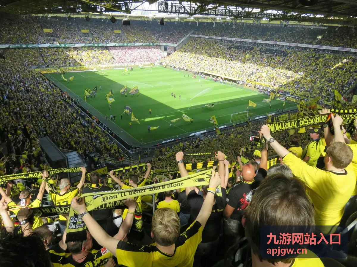 九游网站入口玩家反馈